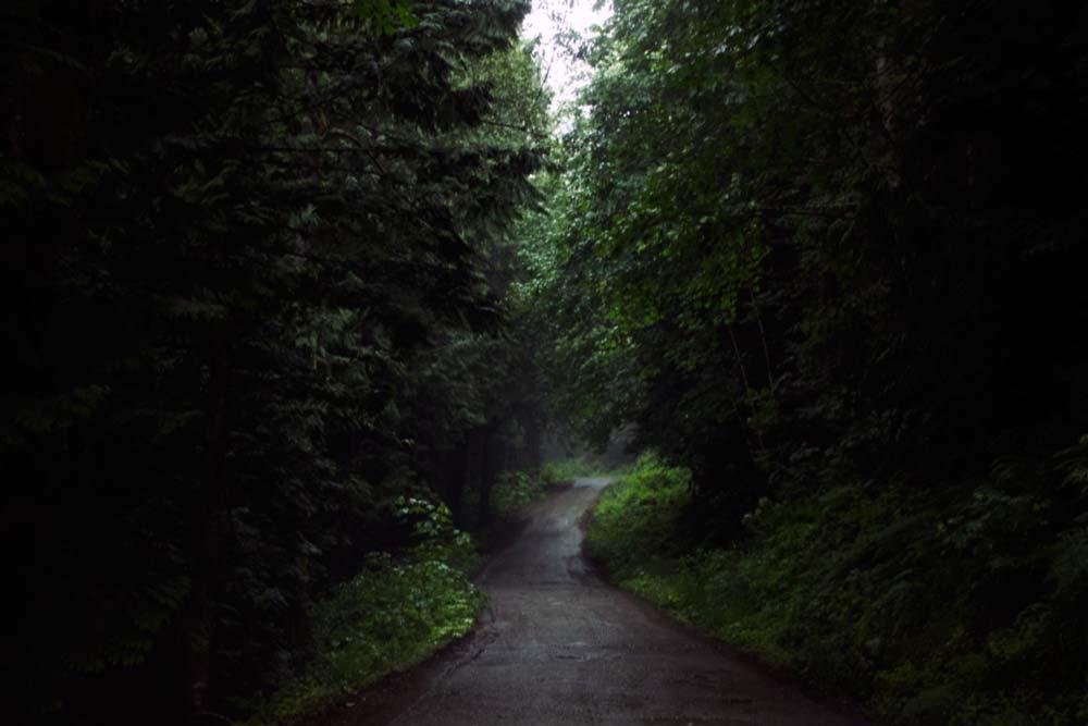 Summer Dirt Road Drives